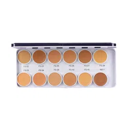 C2P PROFESSIONAL MAKEUP Cover & Conceal Supraemeshield Base Palette-36