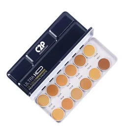C2P PROFESSIONAL MAKEUP Cover & Conceal Supraemeshield Base Palette image 3