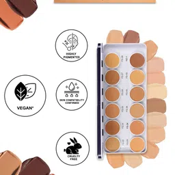 C2P PROFESSIONAL MAKEUP Cover & Conceal Supraemeshield Base Palette image 4