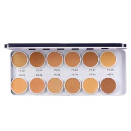 C2P PROFESSIONAL MAKEUP Cover & Conceal Supraemeshield Base Palette image 5