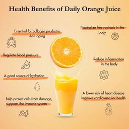 Clefairy Citrus Juicer - 300W Electric Orange Juice Squeezer, 2 Cones for Large & Small Fruits - Easy to Clean, Juicer Machine Maker for Lemon Grapefruits image 3