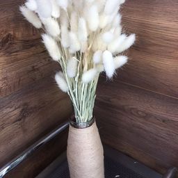 Artecasa Dried Flower White Bunny Tails-image-30