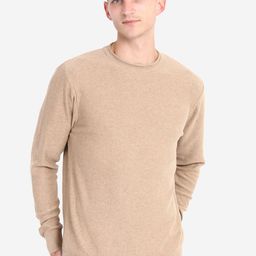 JoE Hazel Men Tan Pure Cotton Pullover-image-95