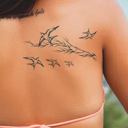 LICK Plant Base Semi Temporary Sparrows Matte Finish Body Tattoo - Navy Blue-image-92