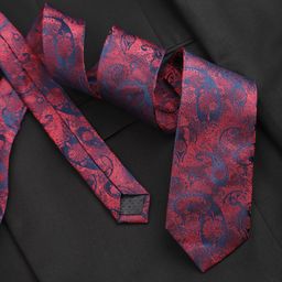 Peter England Men Woven Design Broad Tie-picture-47