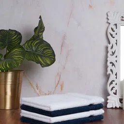 SPACES Set Of 4 Solid 600 GSM Pure Cotton Hand Towels-49