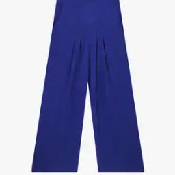 Palazzo Pants with Pleats-picture-40