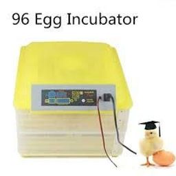 tm&w RAVI - Digital Automatic 96 Egg Incubator AUTO Tilting AUTO Temperature & Humidity Digital Display/HATCHER image 2