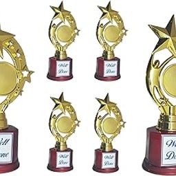 Golden Trophy Set for Events, Functions || Awards for Team(Golden Coloured, 17 cms) (6)-image-45