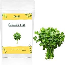 CHEDI Agros Coriander Seeds for Planting - 25 g | 5500 + Seed | High Germination Seeds| Ideal for Balcony,Terrace and Garden-image-83
