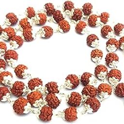 Omniira Original 5 Mukhi Rudraksha Mala with Designer Silver Caps | Handcrafted 108+1 Beads Spiritual Japa Mala for Men & Women-image-66