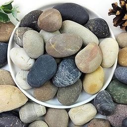 Emily Pets Aquarium Rocks Stones, 4/6 Natural River Rocks for Plants Decorative Polished Mixed Pebbles for Fish Tank, Landscaping, Gardening, Flower Pots, Vase Fillers, Indoor Water Fountains (1.95kg)-picture-30