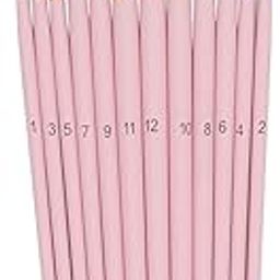 CRISSY ARTZZ 12 Piece Acrylic Paint Brush Set, Toothbrush Holder, Professional Oil Brush with Pink Handle Nylon Bristle Brush Set for Paint (Pink)-picture-21