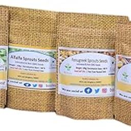 BOSI Leaf | 4 Variety of Microgreens Sprouting Seeds: Alfalfa, Clover, Radish, Fenugreek | Grow Your Own Super Salad | 100g x 4-image-42