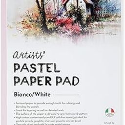 Brustro Artists’ Pastel Paper Pad of 24 Sheets (160 GSM), Colour – White, Size – 3.5 X 5.5″-image-59