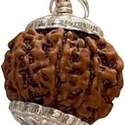 BluDiamond 8 Mukhi Rudraksha Nepali Oval 8 Face Nepal Rudraksha 18mm Brawn Aath Mukhi Rudraksha Original Certified Pure Eight Face Rudraksha Precious आठ मुखी रुद्राक्ष Blessing Ganesha Ashta Mukhi Rudraksha Real 8 Mukhi Nepal Rudraksha 8 मुखी रुद्राक्ष ओरिजिनल नेपाल For Pendent-picture-9