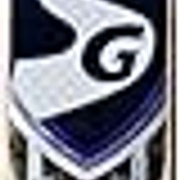 SG Wood Hp Spark Cricket Bat, Multicolour, Sh-image-60