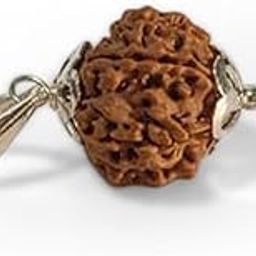 4 Mukhi Rudraksha – Original Certified Bead for Knowledge, Wisdom & Creativity | Chaturmukhi Rudraksha Symbol of Lord Brahma | Energized Spiritual Bead for Students & Professionals-picture-21
