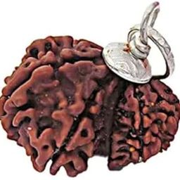 SRT Rudra Pure Garbh Gauri Rudraksha with Certificate गर्भ गौरी रुद्राक्ष Gauri Ganesh Rudraksha Original Nepal Bead Blessed Gauri Ganesh for Men Women-3
