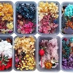 Natural Real Dried Flowers for Art Craft - Mixed & Multicolor for Soap, Artificial Candles, Scrapbooking, DIY, Resin Jewelry, Pendant - [1 Set of Box] Multicolor (30 Grams Approx.)-image-68