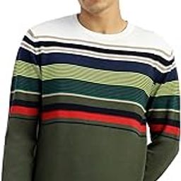 Men Cotton Regular Fit Round Neck Striped Sweater-image-3