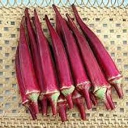 Golden Hills Farm Hybrid Vegetable Seeds of Red Bhindi -100 Seeds-image-76