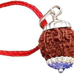 7 Mukhi Rudraksha Original Certified IGL 7 मुखी रुद्राक्ष 7 Mukhi Rudraksha Nepali Blessed By Goddess Mahalakshmi Saat Mukhi Rudrakshaa 7 Face Rudraksh Pendant-picture-15