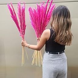 Sorcish Flamingo Pink Pampas Grass , Large, Natural Dried 6 Stick 25 inch Size (Pink)-image-57