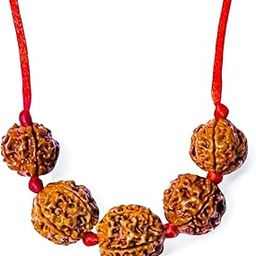 Arihant Gems and Jewels® Swasthya Bandh | 5 Mukhi Nepali Rudraksha Combination for Better Health | Original Nepal Lab Certified | Includes 5 Beads Strung on Red Thread.-94