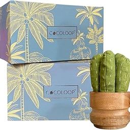 COCOLOOP Green Tall Succulent Activated Charcoal Air Purifier Bags - Natural Odor Eliminator, Reusable for 2 Years, Eco Friendly Deodorizer for Bedroom Living Yoga/Gym/Toilet area |325 gms-image-35