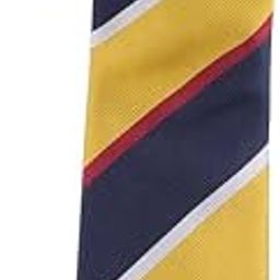 Multicolor Design Microfiber Necktie For Men-image-4