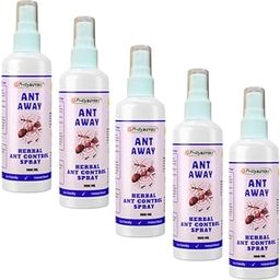 PrettyBUYERS Natural Ant Repellent Spray For Home | Most effective Ant Killer Spray |100MLx5-image-7
