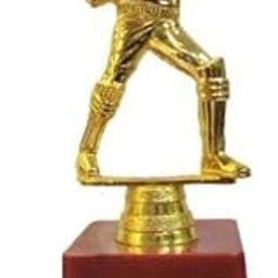Royal Trophy Golden Metallic Fibre Best Batsman Cricket Trophy Award (Medium)-image-26
