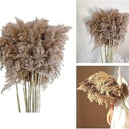 10 Pieces Pampas Grass Natural Dried for Event Home Decoration Diwali Parties Pool Decor Office Decor for vases Boutique Table Hanging on Walls-5