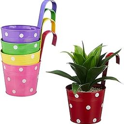 Amazon Brand - Solimo Dotted Round Railing Planter for Balcony (Multicolor, Set of 5) | Dotted Railing Metal Pots for Balcony and Home Gardening, Indoor, Outdoor-image-22