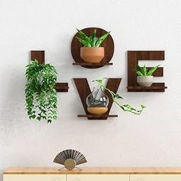 SJM ENTERPRISES Multipupose Wall Shelves Decor Stands and Flower Pots Stand for Home Planters, Terrace, Garden Etc Diwli Gift (Pack of 4, Color- Brown)-image-70