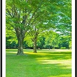 Vastu Vardan Green Scenery Painting | Natural Paintings for Living Room | Size 45 x 32 cm | Wall Scenery for Bedroom, Office, Home Decor | Green Scenery Artwork-image-30