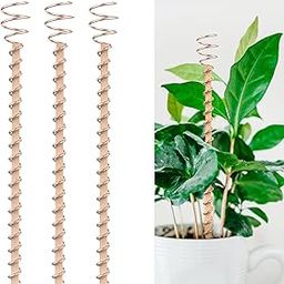 HASTHIP® 3Pcs Copper Wire Plant Supports for Enhanced Atmospheric Energy Garden Electroculture Plant Stakes With Spiraled Copper Wire 11 inches Training Sticks for Edible Greens,Pothos-image-10