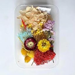ROYAL SAPPHIRE Natural Real Dried Flowers for Art Craft - Mixed & Multicolor for Soap, Artificial Candles, Scrapbooking, DIY, Resin Jewelry, Pendant - [1 Set of Box] Multicolor (1)-image-33