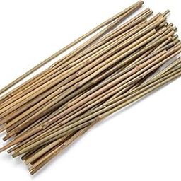 Plant Support Bamboo Sticks - 100% Natural & Eco-Friendly Bamboo Stakes for Garden Plants, Trees, and Vines - Durable, Versatile Plant Support (24 Inches/2 ft/61.5 cm, Pack of 20)-picture-25