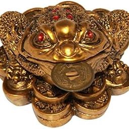 Arina Creation Money Frog-image-7