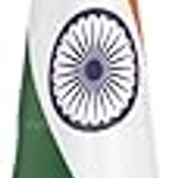 The Flag Company 6-Foot Indoor Flag Pole with Indian Flag | Stainless Steel Conference Pedestal Flag Stand | National Flag Display for Events, Offices & Auditoriums-image-20