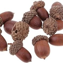 STYLEHEAVEN 10 Pieces Rustic Natural Acorns Dried Table Decorations for Accents Home Christmas Party Decoration Ornaments DIY Floral Arts Crafts-image-14