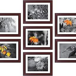 Amazon Brand - Solimo Rosewood Collage Set of 7 Photo Frames ( 8 X 10 Inch - 7)-image-55