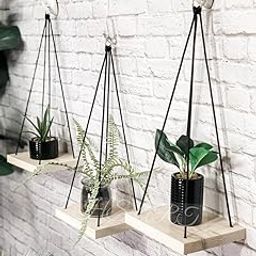 HS ART Wooden Wall Hanging Rope Shelf Pine Wood Floating Shelve Rope Hanging Flower Vase Shelf-image-33