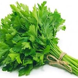 Parsley_Vegetable_Pack of 30 seeds-image-52