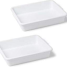 Labxport Polypropylene Lab Tray for Laboratory Supplies - Durable and Temperature Resistant Plastic, Multi-Purpose Containment Tray, School, College, Size 450mm X 350mm X 75mm Pack of 2-picture-22