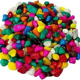 The Stock Store Colored Pebbles/Gravels/Stone Pebbles for Plants Pots and All Purpose (Multicolour) - Pack of 480GR-3