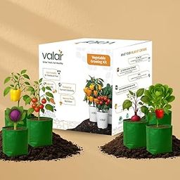 The Colorful Salad Bowl Growing Kit | Organic, Non-GMO Seeds | Home Gardening Set for Vibrant Salads (Pack of 6)-picture-25