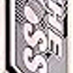 XTROKE The BOSS Edition Popular Willow Premium Cricket Bat for Man's & Adult, Advance Play All Tennis Ball, Gully Cricket, Tournament Match (Size 04)-image-41